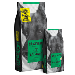 ARION TITANIUM BALANCE