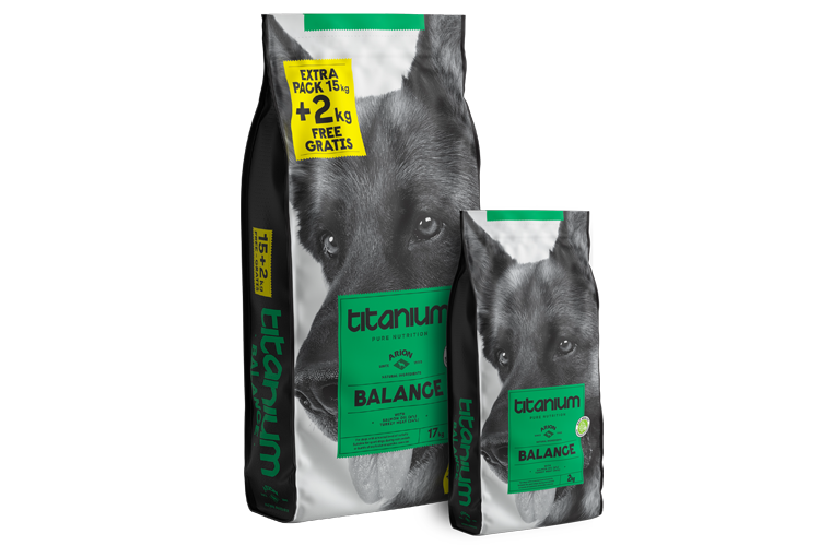 ARION TITANIUM BALANCE