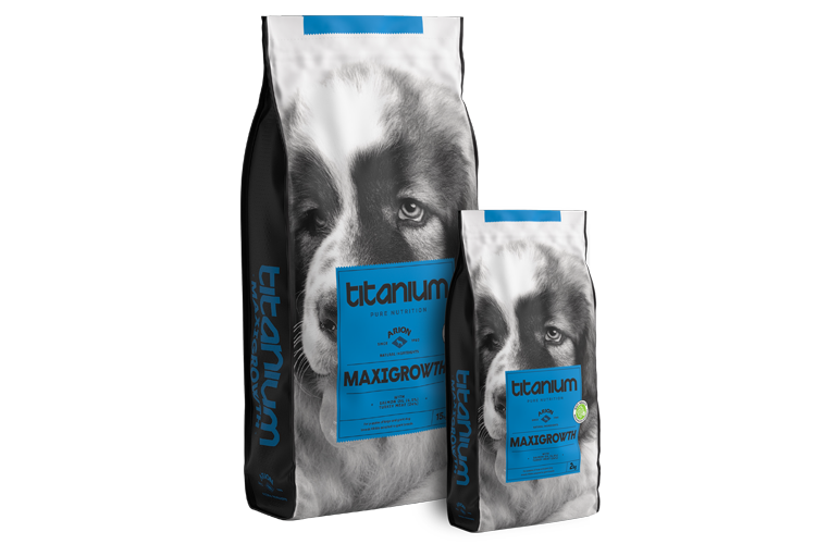 ARION TITANIUM MAXI GROWTH