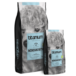 ARION TITANIUM MINI GROWTH
