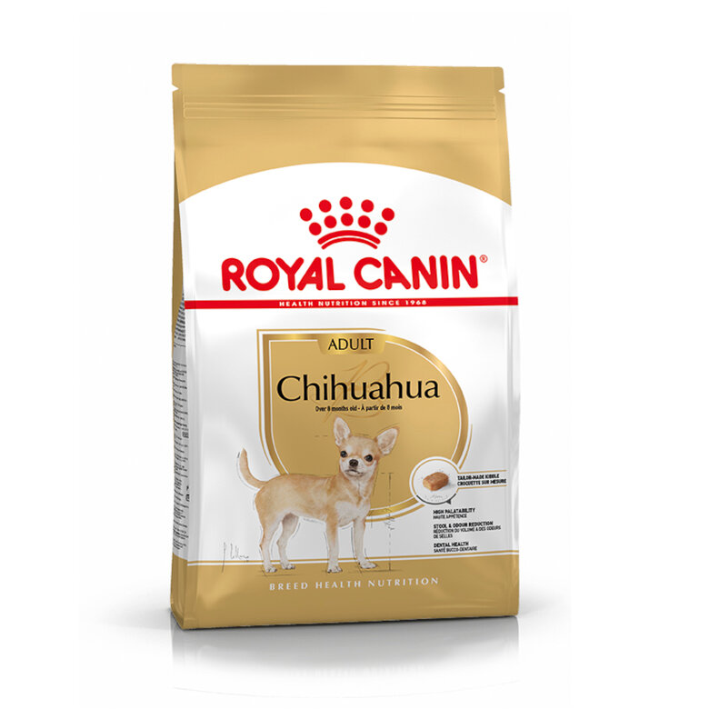 BHN CHIHUAGUA ADULT