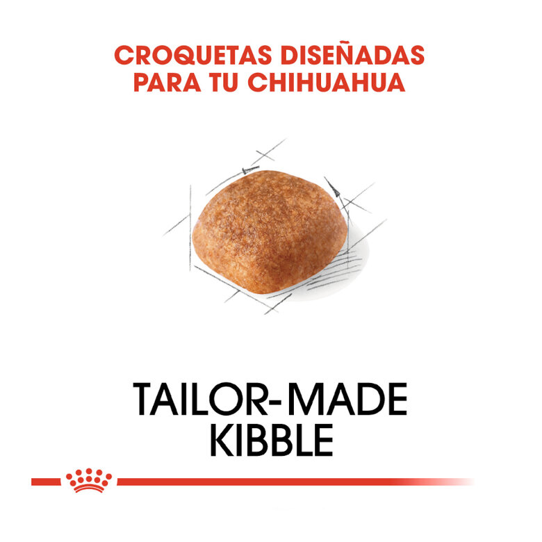 BHN CHIHUAGUA ADULT - Imagen 2