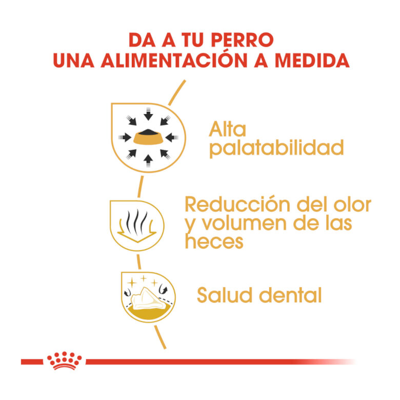 BHN CHIHUAGUA ADULT - Imagen 3