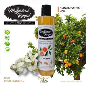 Champú Naranja y Azahar