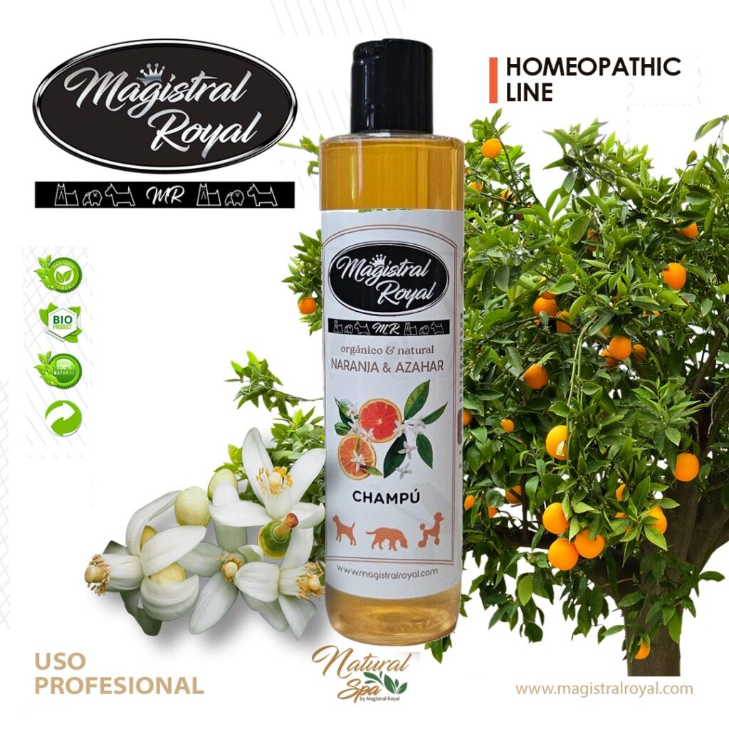 Champú Naranja y Azahar