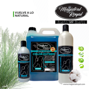 Champú Color Extreme