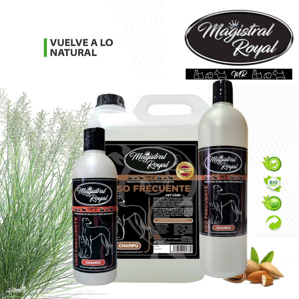 Champú Uso Frecuente