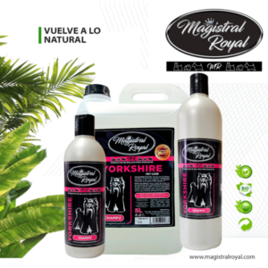 Champú Yorkshire