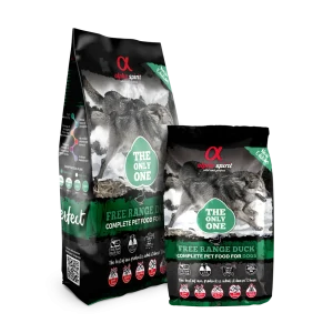 ALPHA SPIRIT The Only One Pato