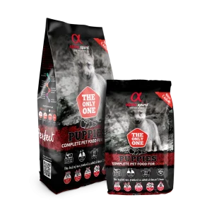 ALPHA SPIRIT The Only One Puppies