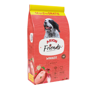 Arion Friends Winner