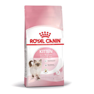 FHN KITTEN