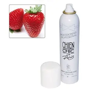 Perfume Chien Chic Fresa