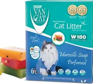 Arena Van Cat